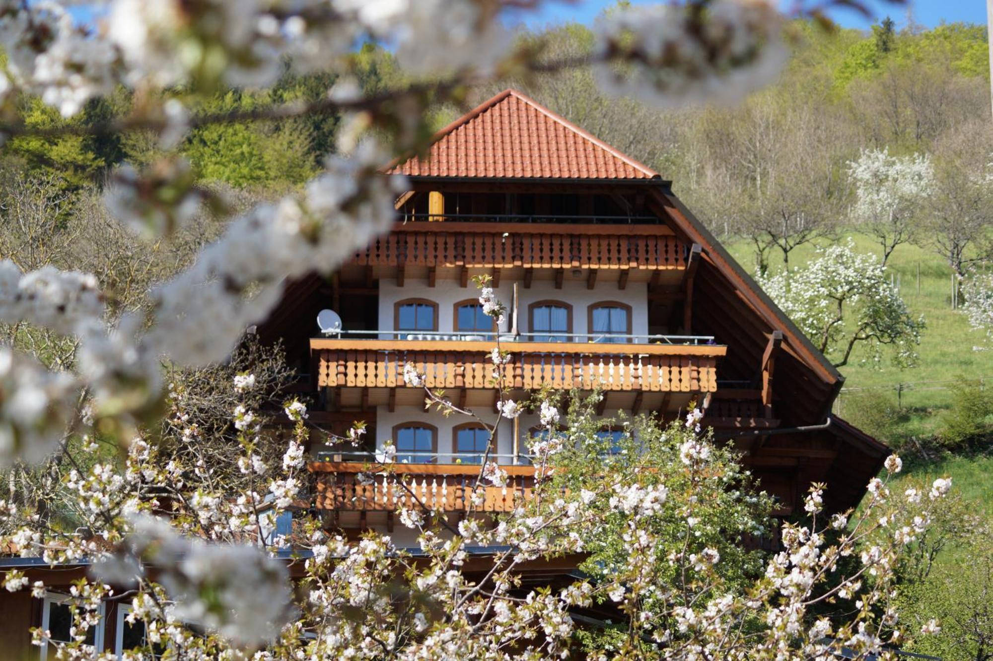Kurparkhotel Faisst Bad Peterstal-Griesbach Extérieur photo